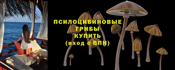 не бодяженный Баксан