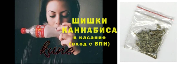 молекула духа Белоозёрский