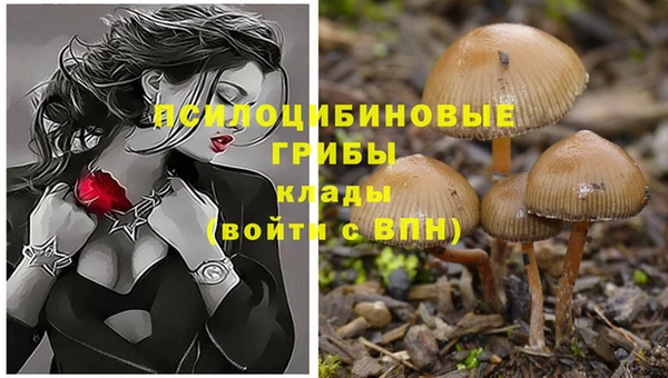 меф Балахна