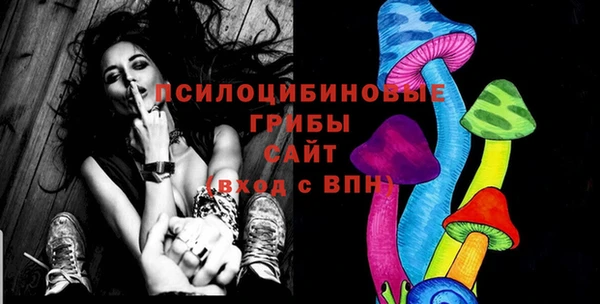 молекула духа Белоозёрский