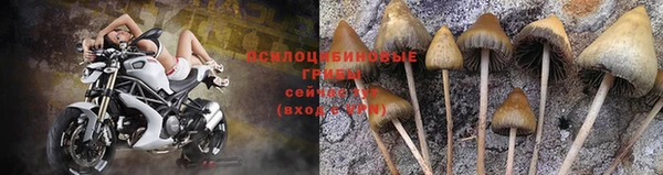 не бодяженный Баксан